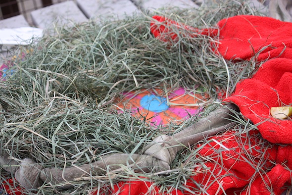 nest with hay
