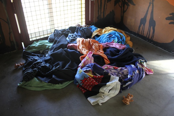 messy nest