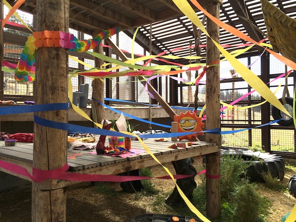 web_annie_birthday_party_setup_gh_dm_iphone