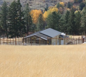 building without Young's Hill
