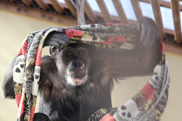 web_Missy_nest_blanket_platform_GH_ek_IMG_4625