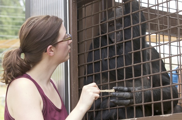 Charlotte Ross at Chimpanzee Sanctuary Northwest