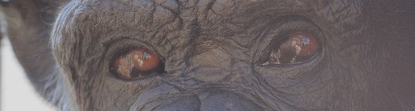 web_Annie_cropped_close_up_eyes_GH_kh_IMG_4760