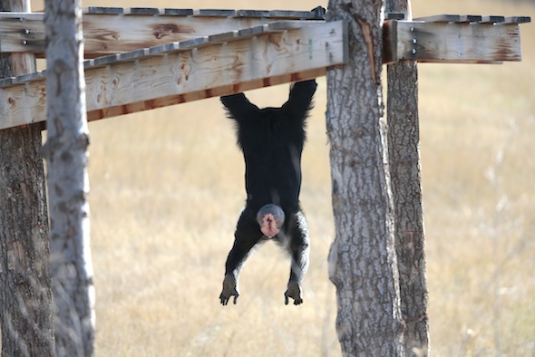 Jamie hanging