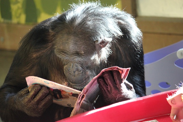 web_Jamie_read_magazine_enrichment_PR_ek_IMG_6050