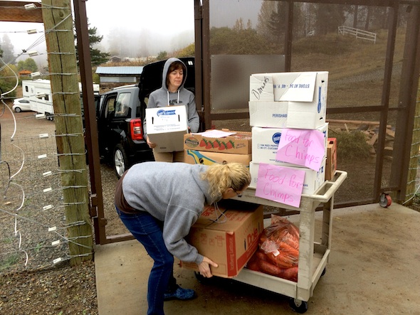 web_Volunteer_Lynn_Annie_Darwins_produce_food_donation_jb