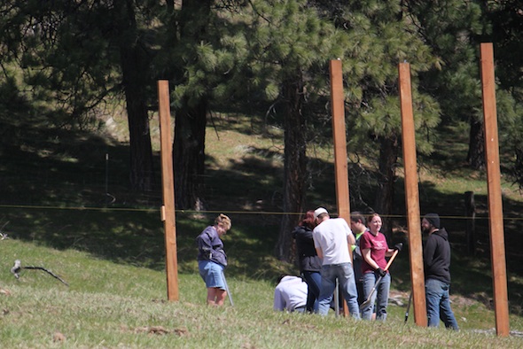 web_Volunteers working on hill Denice JB Seattle animal groups pole setting IMG_3291