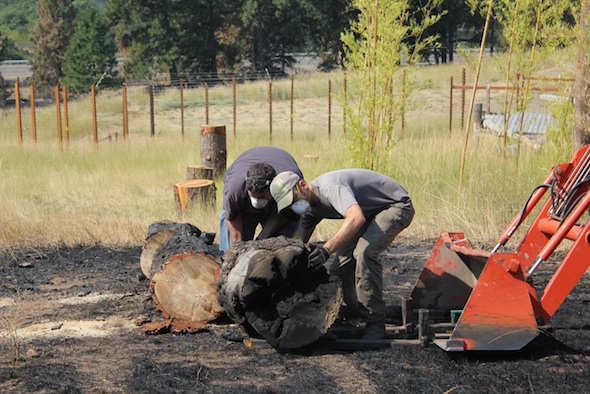 web_fire clean up JB caregiver brian volunteer tractor load burned log yh IMG_6415