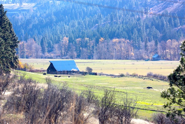 web_neggie's_valley_kd_IMG_5134
