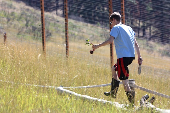 web_volunteer_joel_garden_forage_setup_ek_IMG_4592