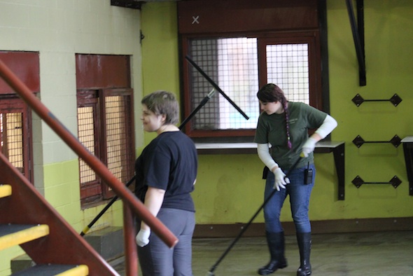 web_volunteers_Lizz_Holly_clean_squeegee_PR_ek_IMG_6187