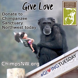 Give Love