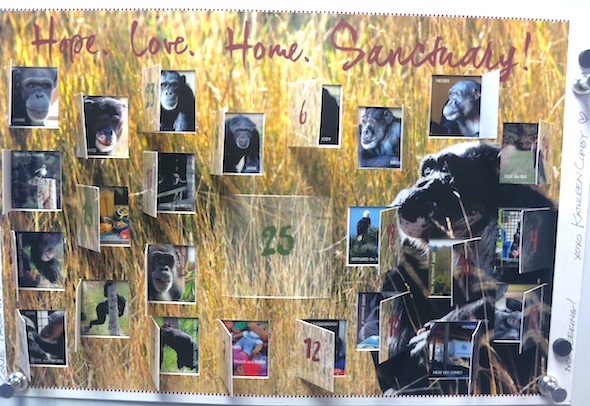 web_Advent_calendar_from_Kathleen