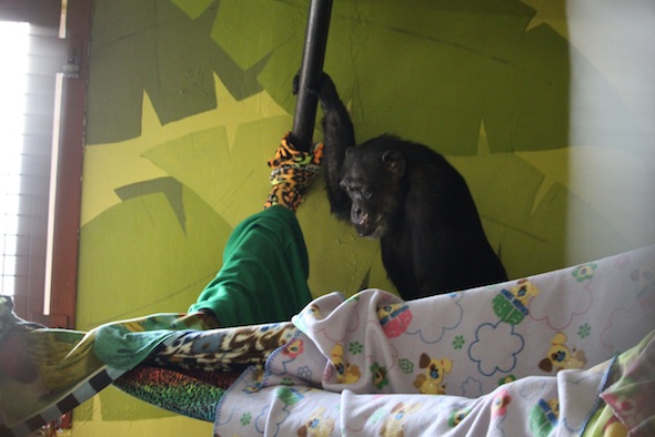 web_Missy_blanket_fort_PR_kh_IMG_1576