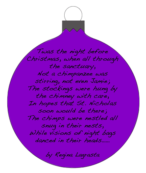 web_ornament_transparent_regina_poem_for_blog