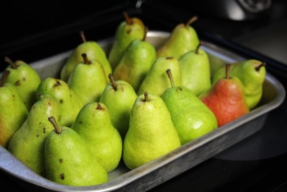 web_pears_pre-baking_dm_IMG_0015