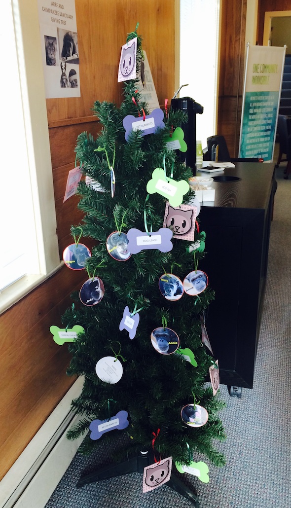 web_umpqua_bank_giving_tree_kd_FullSizeRender(2)