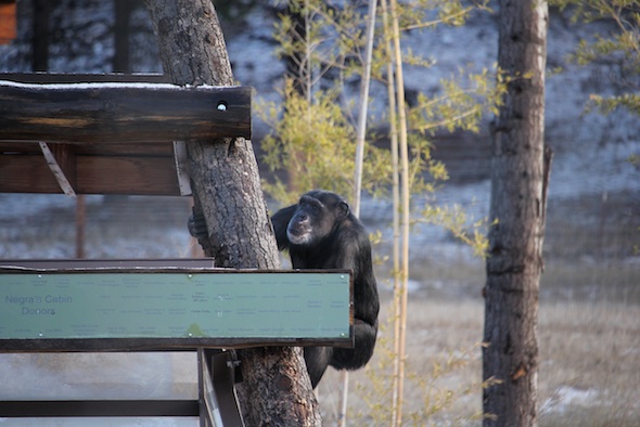 web_Missy_climb_cabin_post_YH_kh_IMG_8129