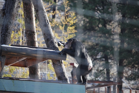 web_Missy_climb_cabin_stand_sign_eat_snow_ice_YH_kh_IMG_8122