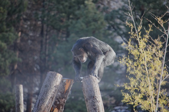 web_Missy_climb_top_cabin_find_ice_snow_jackpot_YH_kh_IMG_8138