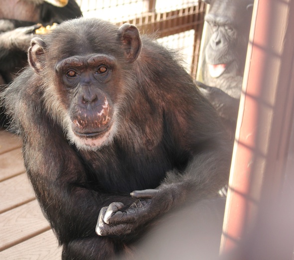 web_Missy_sit_platform_look_out_GH_IMG_7725