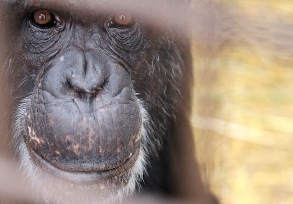 web_jamie_close-up_eyes_gh_dm_IMG_2392