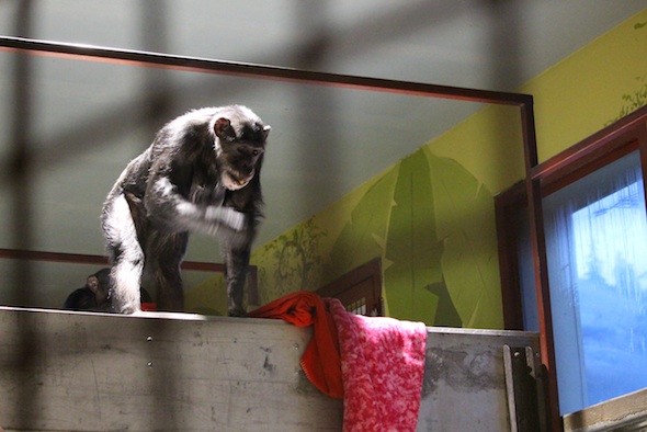 web_missy_stand_on_new_bridge_pr_ek_IMG_2435
