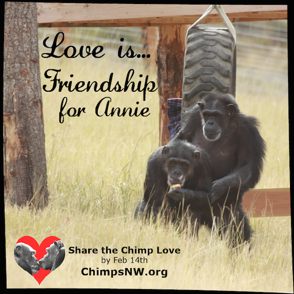 Lovie is for Annie