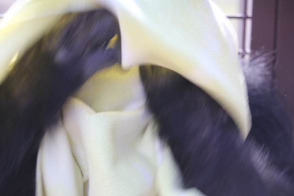 web_Burrito_play_blanket_fling_raceway_GH_YH_ek_IMG_8862