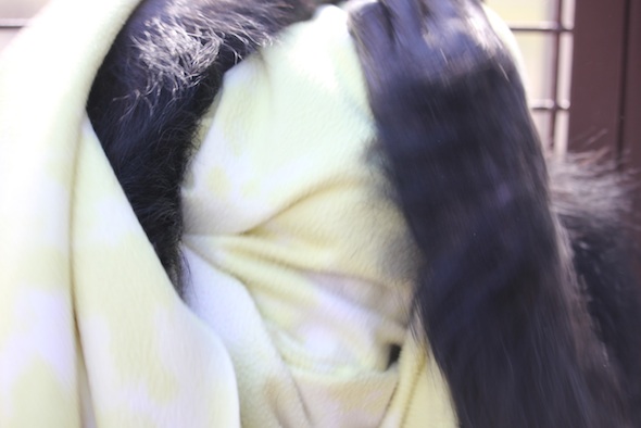 web_Burrito_play_blanket_fling_raceway_GH_YH_ek_IMG_8863