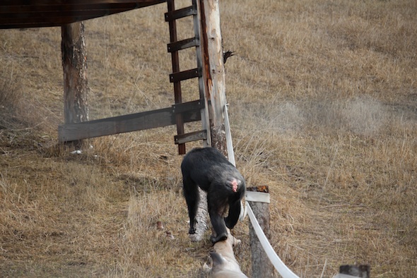 web_Missy_walk_log_bridge_YH_ek_IMG_3731