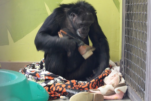 web_Jamie_sit_in_blanket_nest_inspect_new_boot_enrichment_PR_ek_IMG_9658