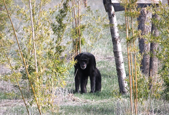 web_cropped_Missy_stand_bamboo_YH_ek_IMG_0073