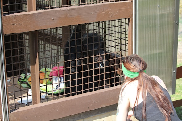 web_Burrito_volunteer_caregiver_Becca_GH_ek_IMG_1030