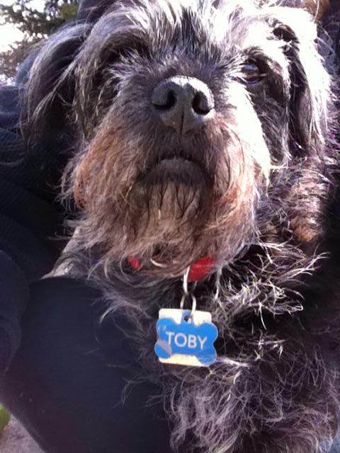 Toby