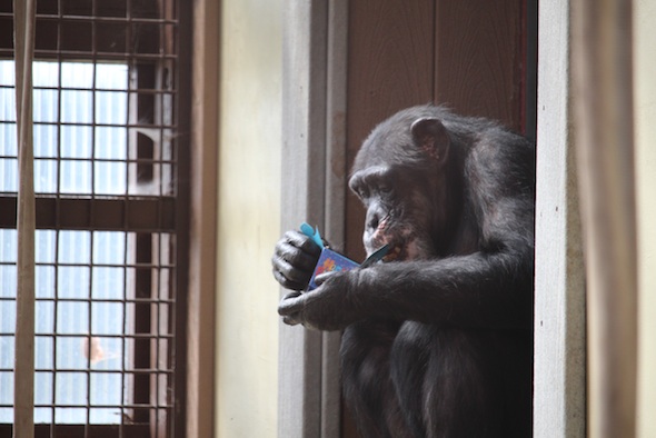 web_Mothers_Day_Jody_birthday_Missy_sit_window_hold_birthday_box_GH_kh_IMG_2431