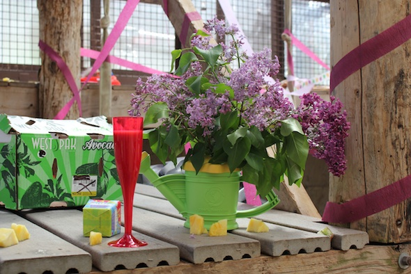 web_Mothers_Day_Jody_birthday_lilacs_breakfast_forage_GH_kh_IMG_1501