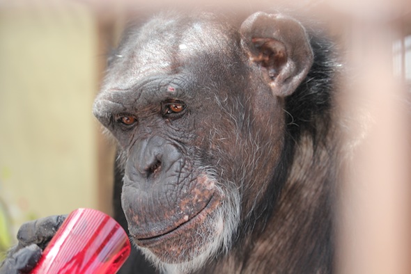 web_Mothers_Day_birthday_party_Jamie_inspect_smoothie_cup_GH_ek_IMG_1526