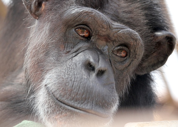 web_annie_peaceful_closeup_look_up_kd_IMG_1345