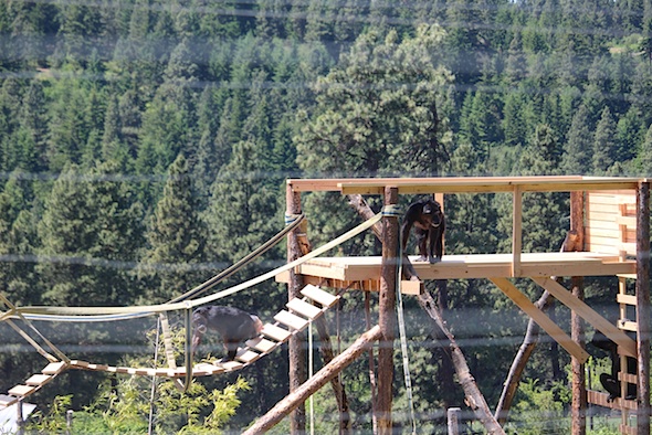 web_jody_new_bridge_annie_platform_jb_IMG_3214