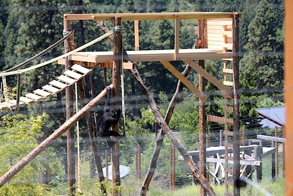 web_missy_climb_pole_to_tower_jb_IMG_3243