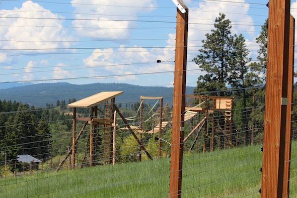 web_new_structure_top_of_hill_jb_IMG_3199