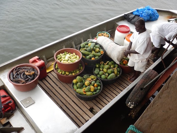 Fruit on its way to the chimpanzees