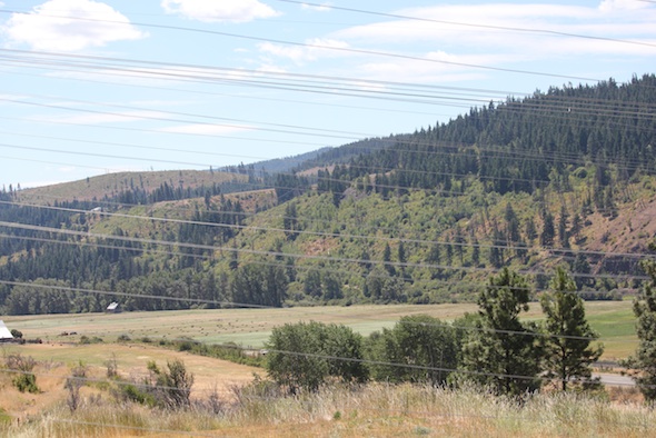 web_view_from_platform_GH_ek_IMG_3060