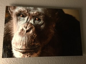 Negra print on metal