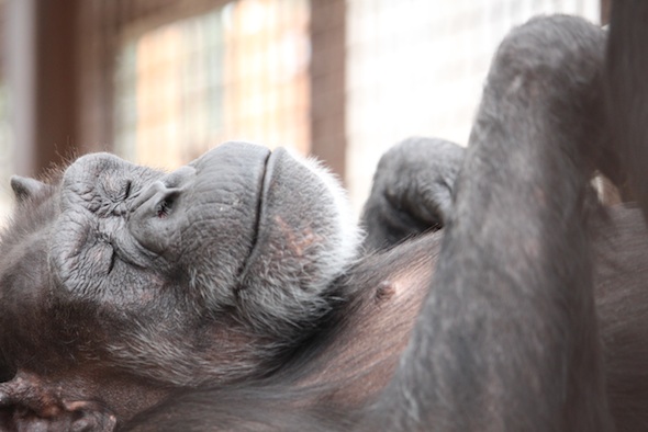 web_Annie_rest_eyes_closed_GH_ek_IMG_7718
