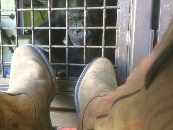 web_Jamie_inspect_boots_FR3_jb_IMG_7272
