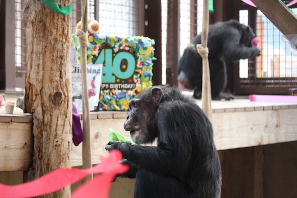 web_Missy_birthday_party_GH_kd_IMG_7187