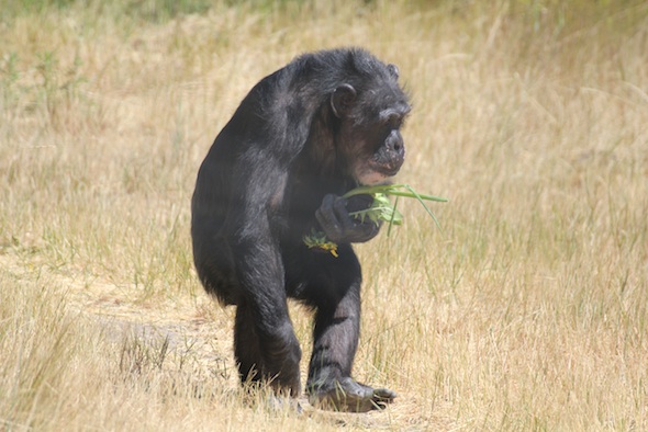 Missy carrying her stash 2
