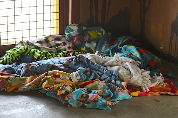 web_nest_loft_kd_IMG_7123